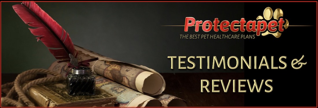Protectapet testimonials and real reviews on their pet insurance and healthcare plans and services.